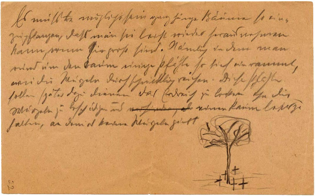 Objekt #3 / Arnold Schönberg: Gedanken zum Pflanzen und Verpflanzen von Bäumen